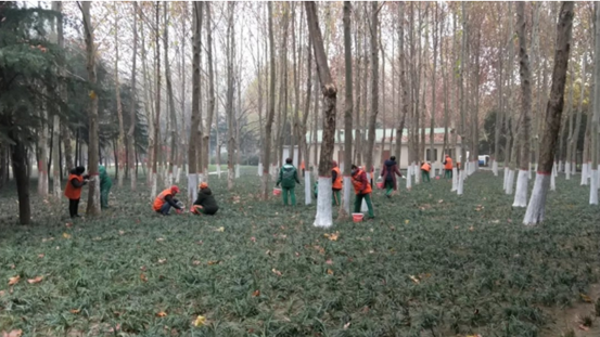 1612761171339761.png image.png