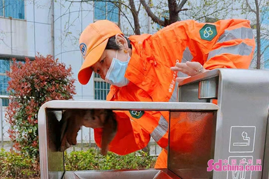 1620873017357113.png image.png