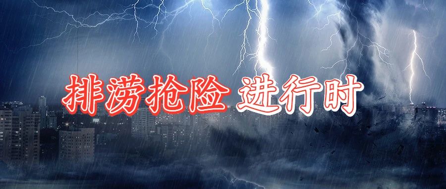 1626858832532609.jpg 1626858832532609.jpg