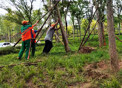 1627613417508764.png 1627613417508764.png