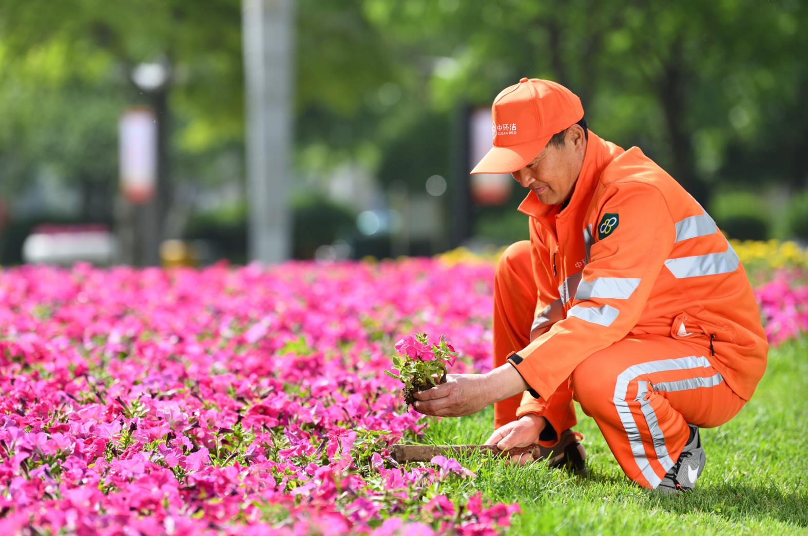 1639386236353875.jpg 1639386236353875.jpg