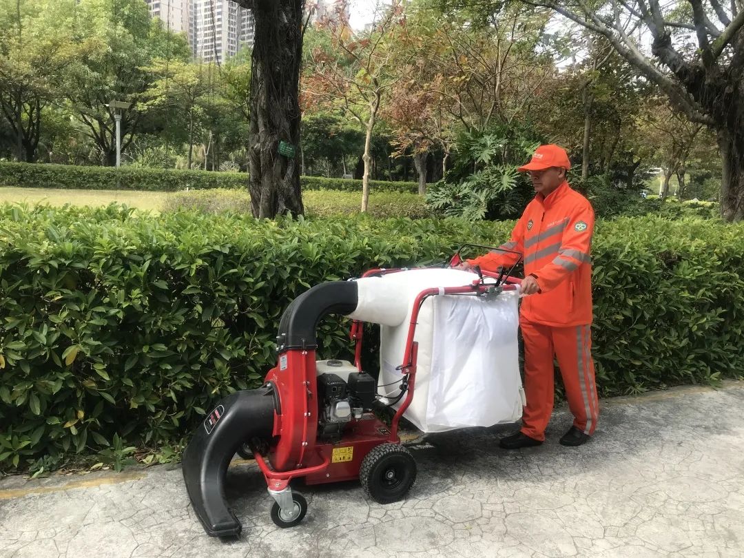 1668059610297204.jpg 1668059610297204.jpg