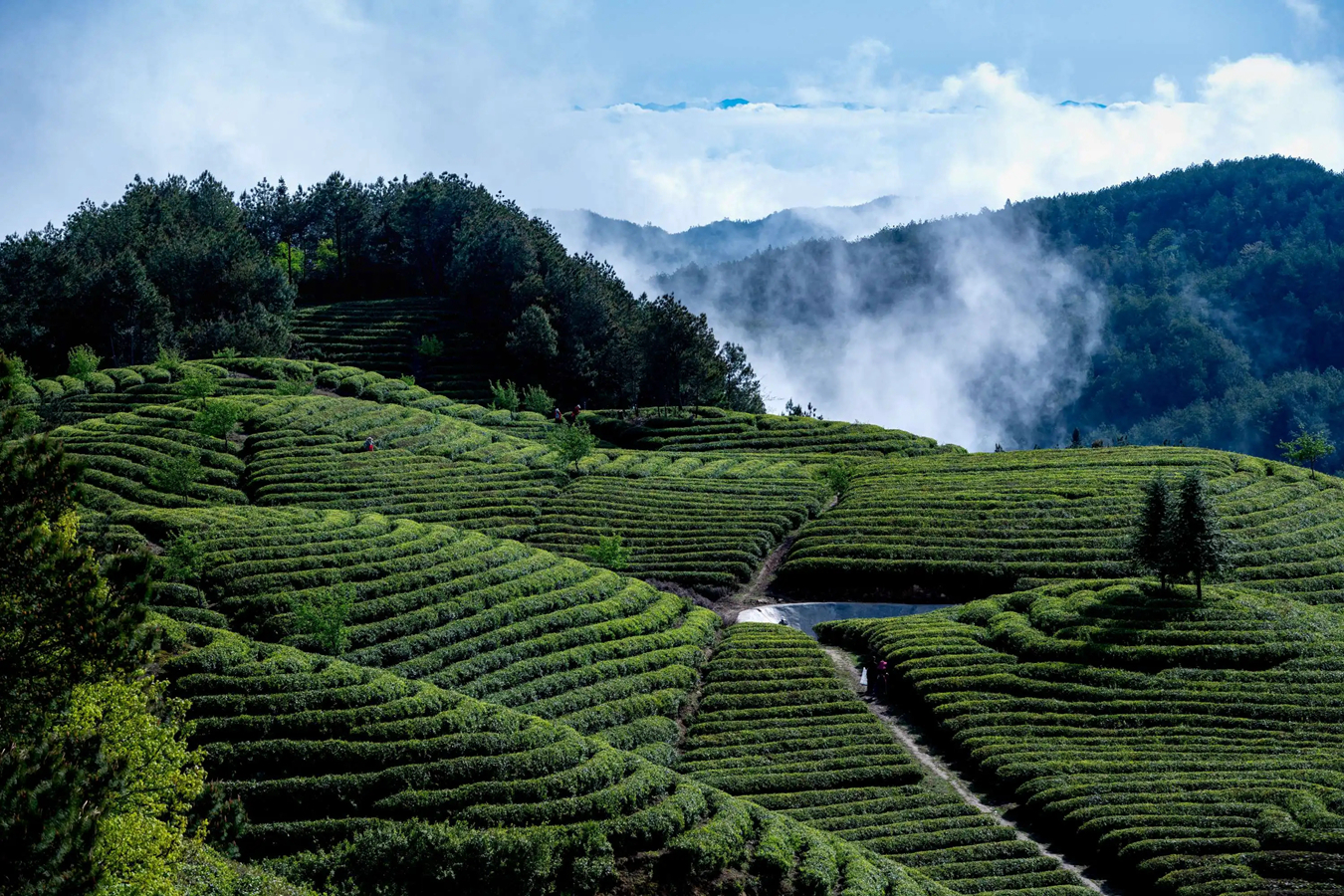 1669118603814628.jpg 1669118603814628.jpg